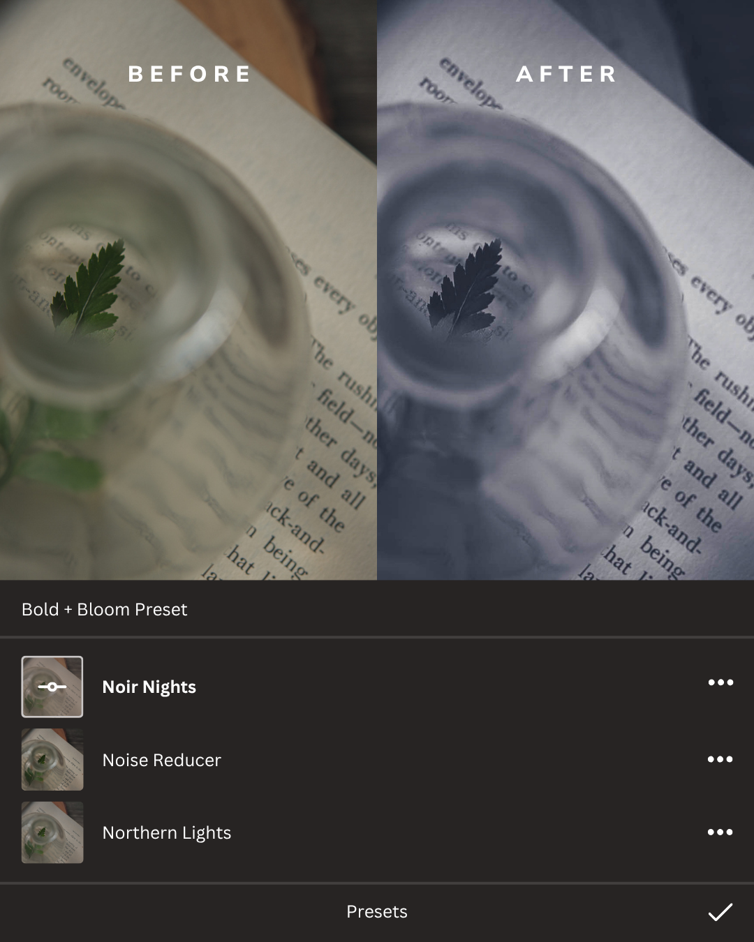 Black + White Lightroom Presets Collection