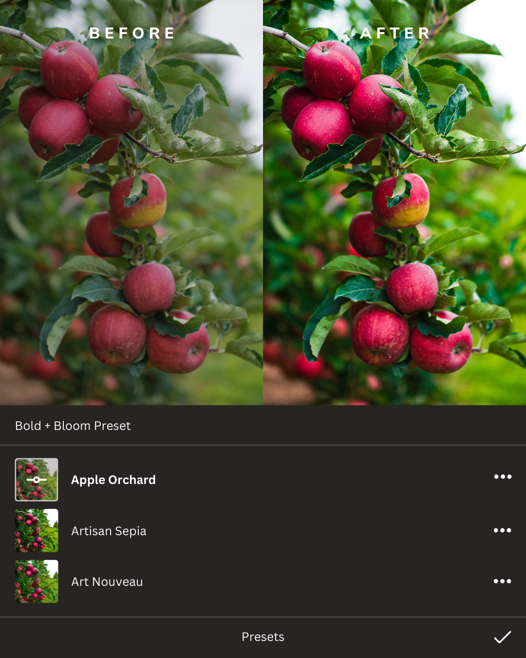 Cozy Autumn Lightroom Presets Collection