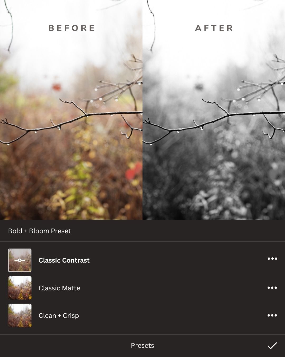 Black + White Lightroom Presets Collection