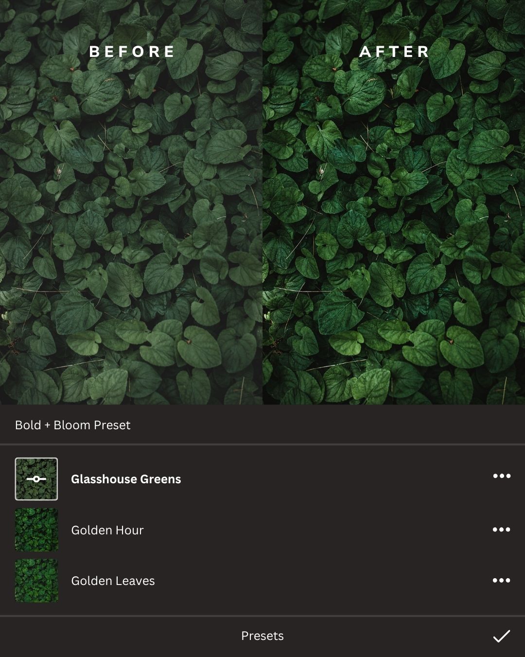 Earthy Lightroom Presets Collection