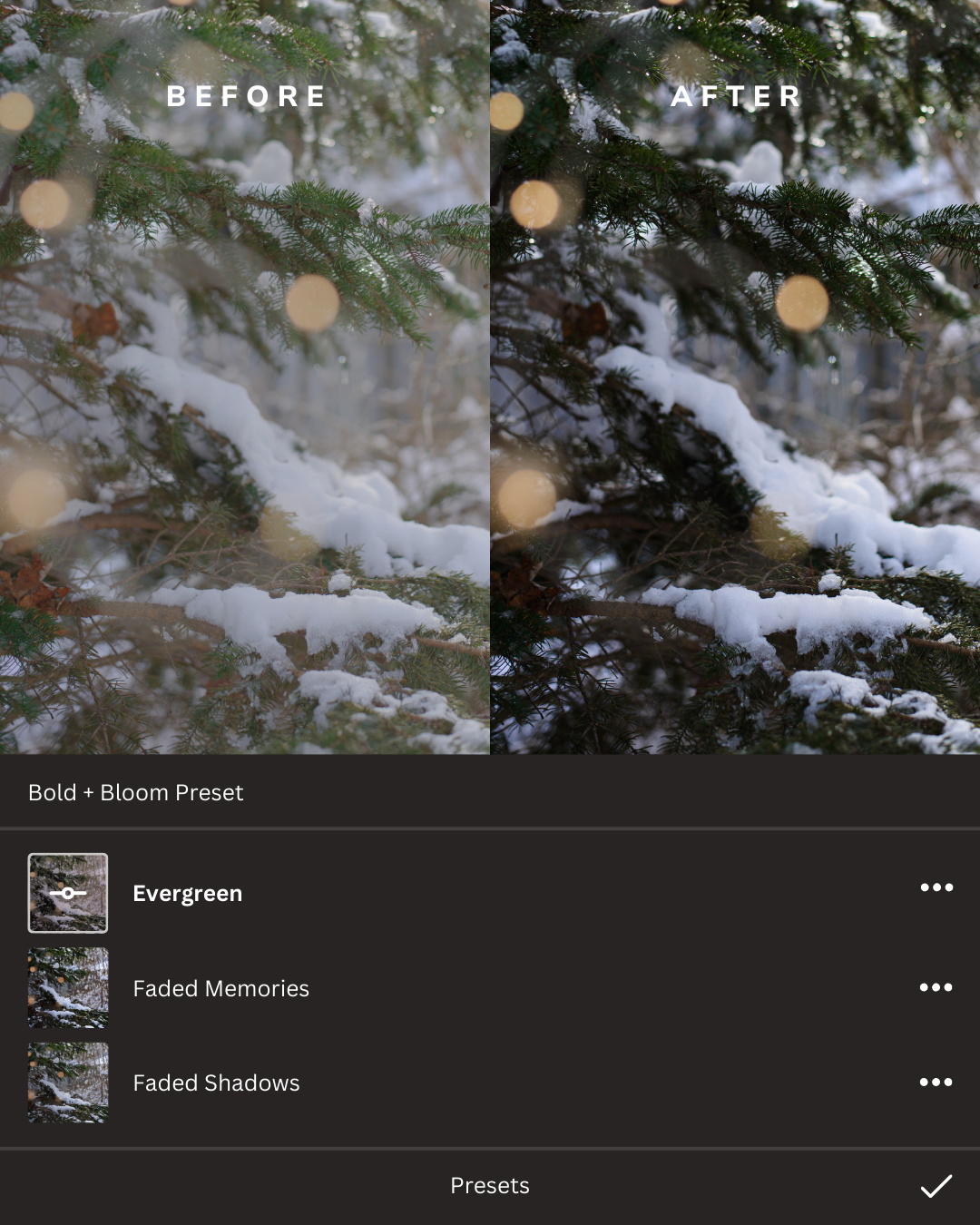 Winter Wonderland Lightroom Presets Collection