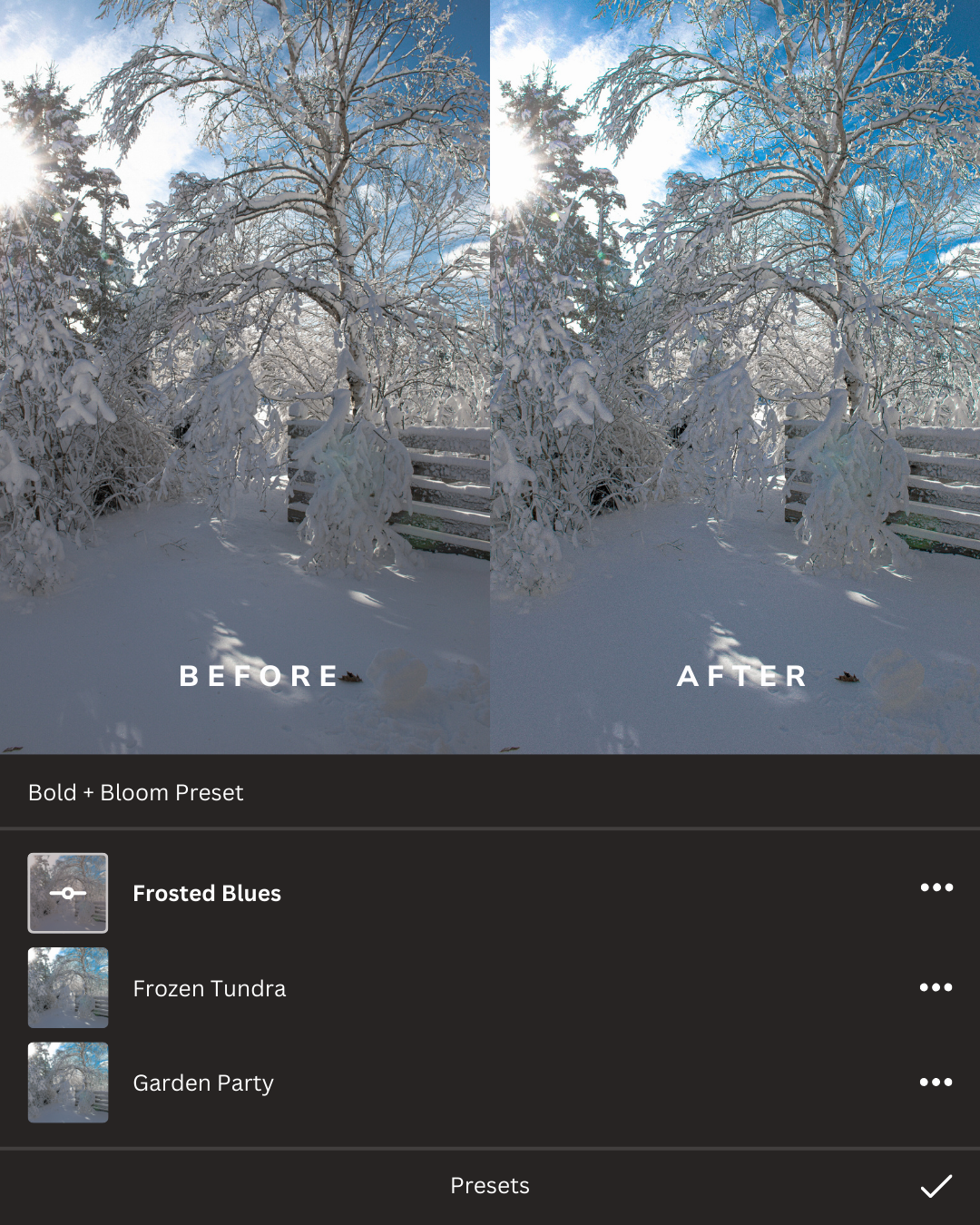 Winter Wonderland Lightroom Presets Collection