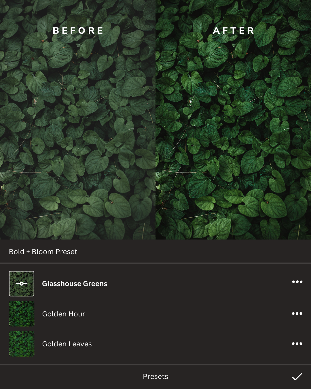 Earthy Lightroom Presets Collection