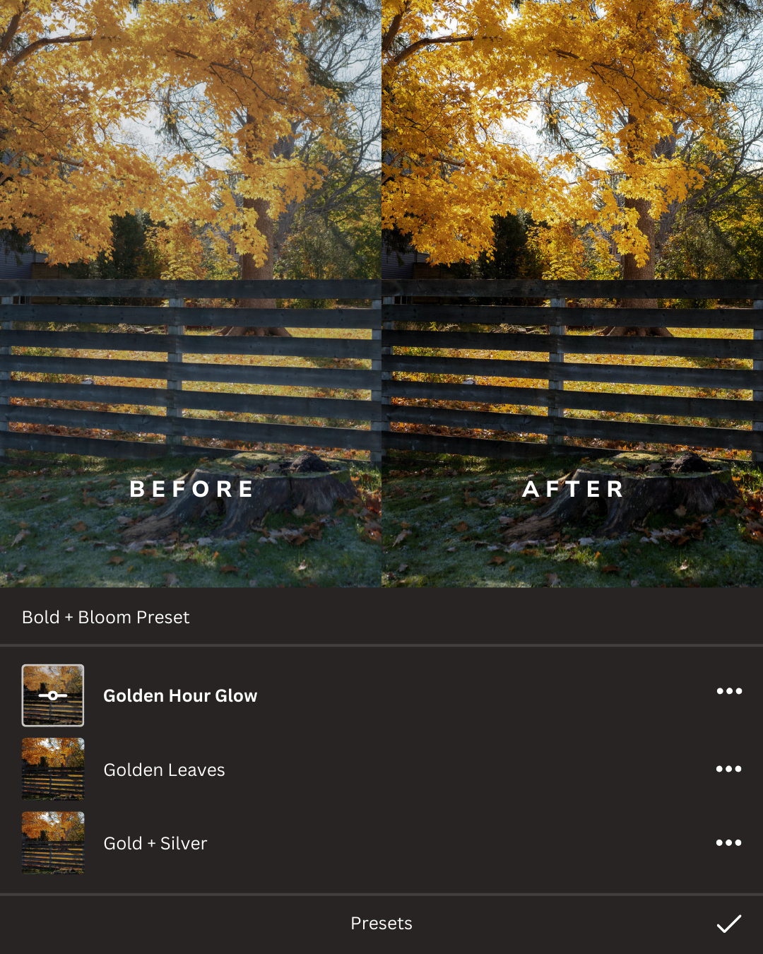 Natural Light Magic Lightroom Presets Collection