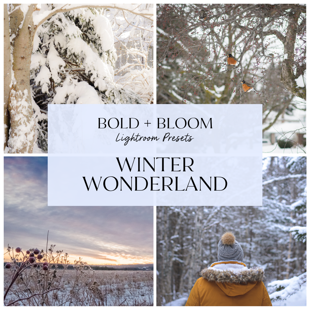 Winter Wonderland Lightroom Presets Collection