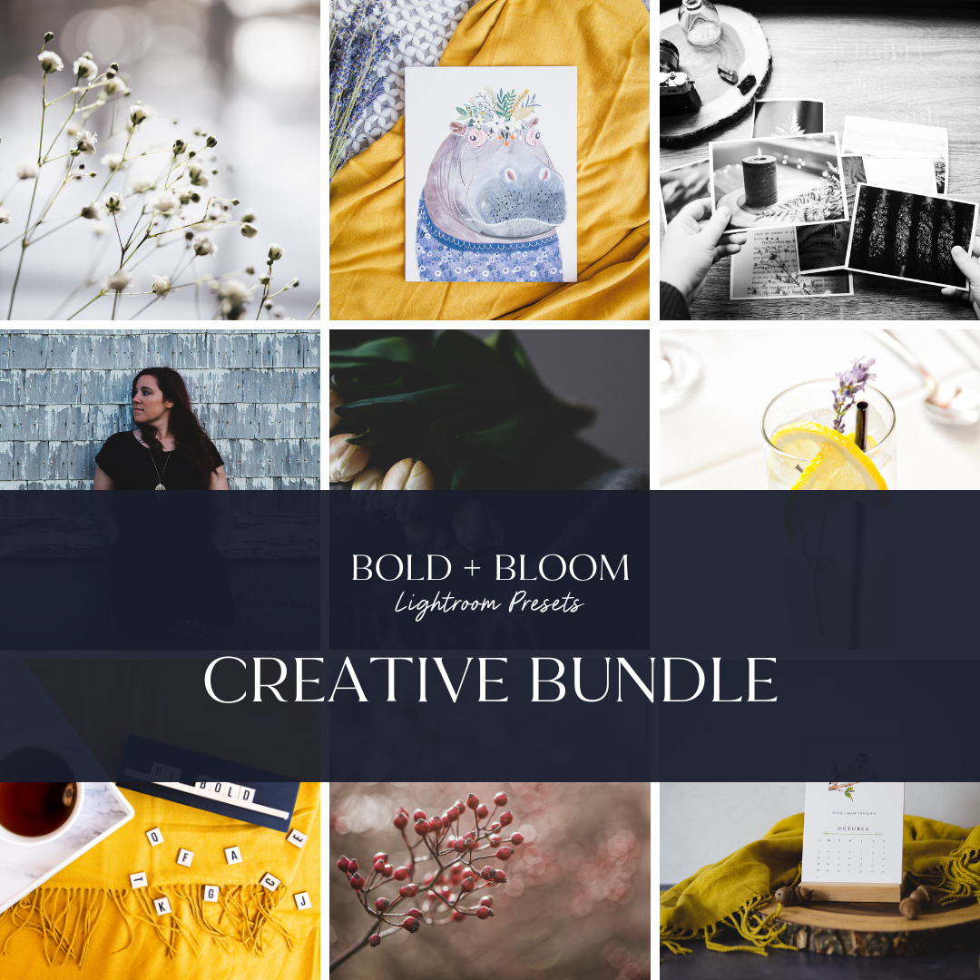 CREATIVE Lightroom Presets Bundle