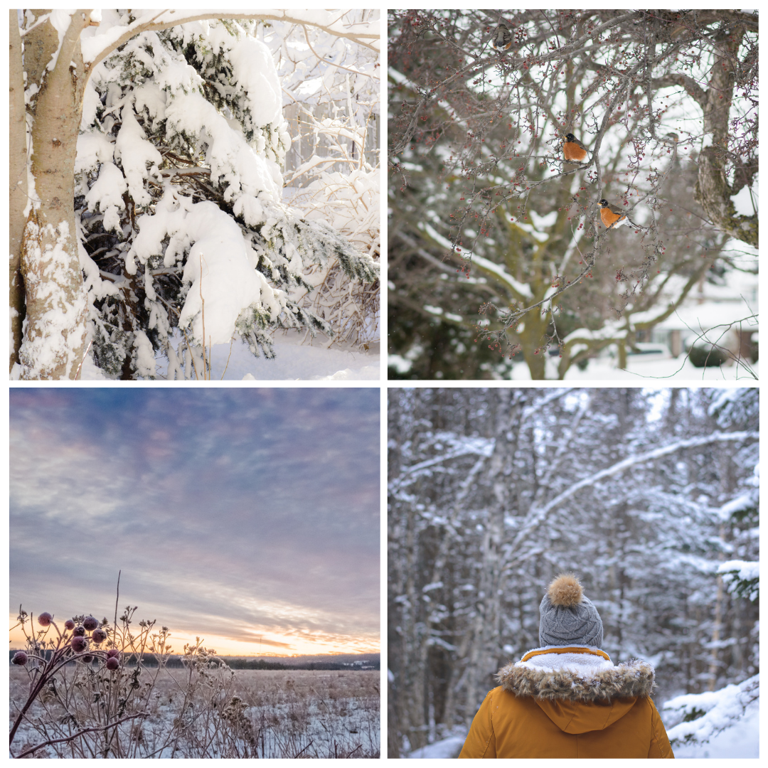 Winter Wonderland Lightroom Presets Collection