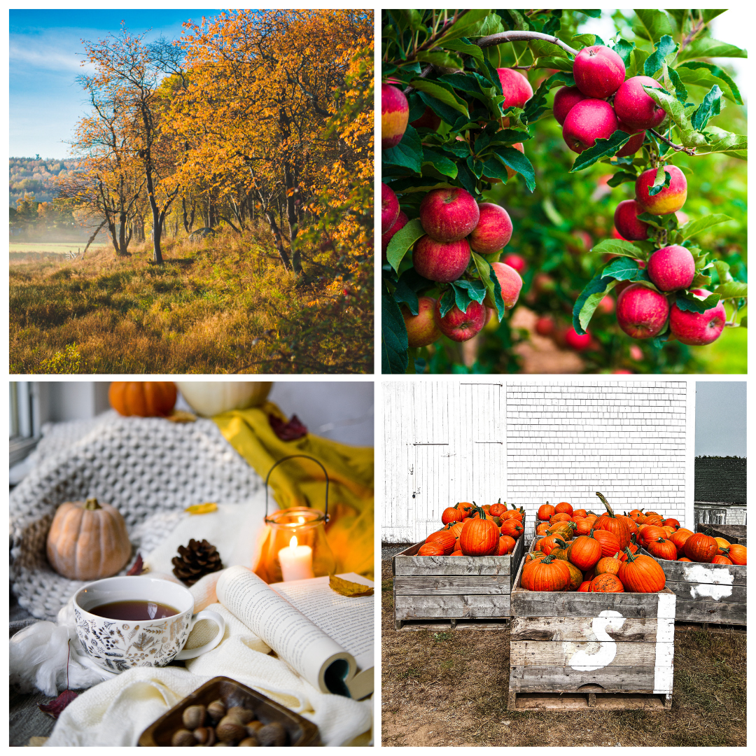 Cozy Autumn Lightroom Presets Collection
