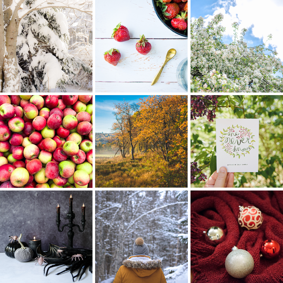 SEASONS Lightroom Presets Bundle
