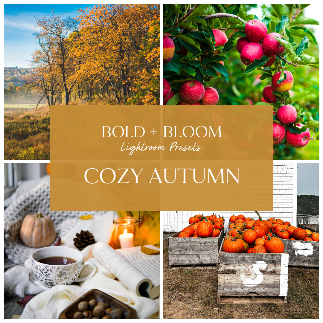 Cozy Autumn Lightroom Presets Collection