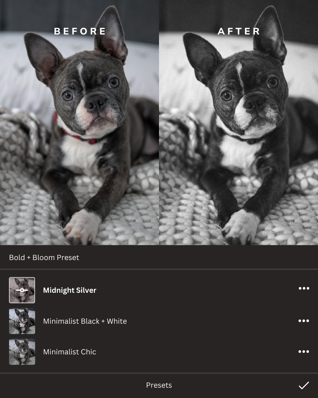 Black + White Lightroom Presets Collection