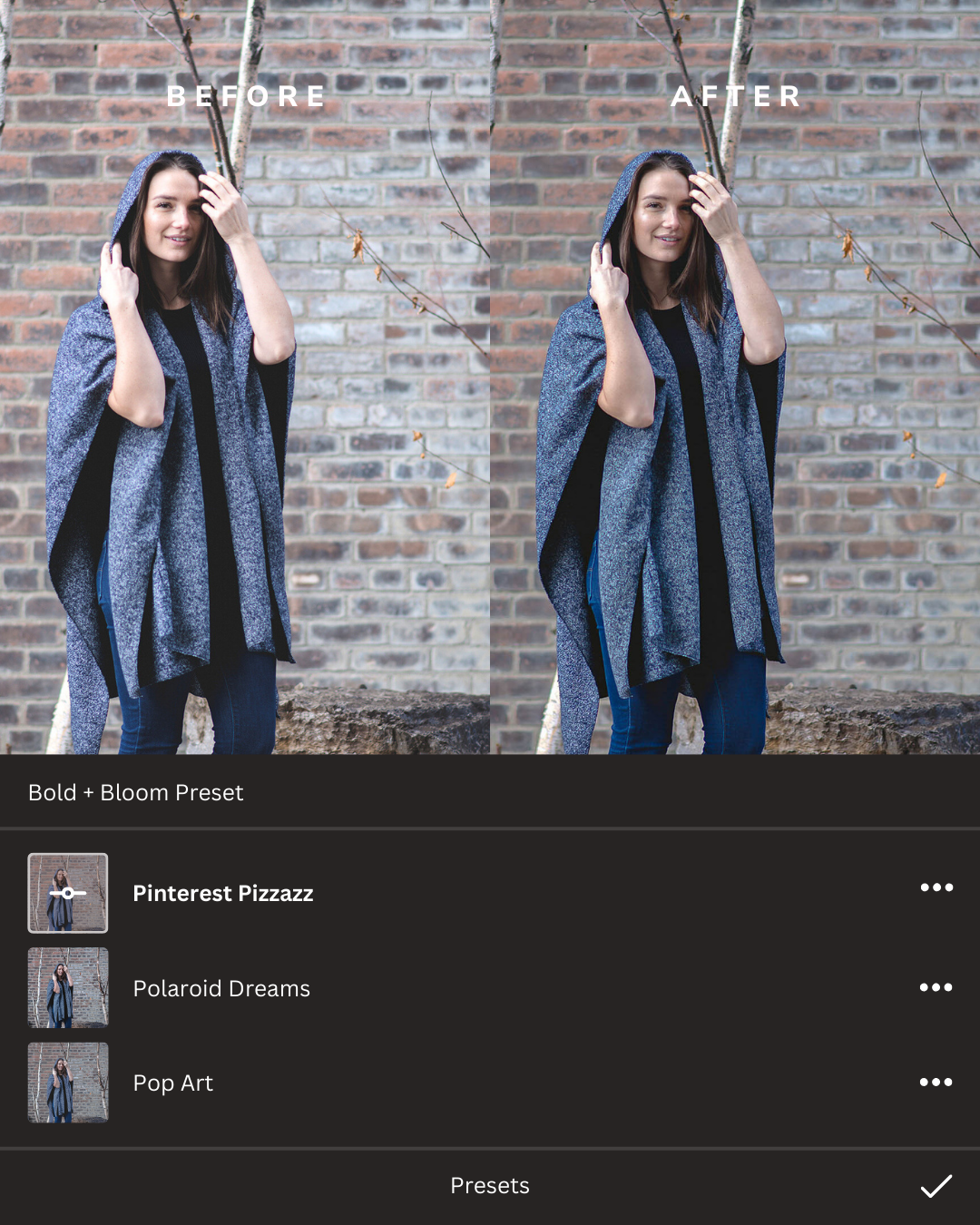 Social Media Ready Lightroom Presets Collection