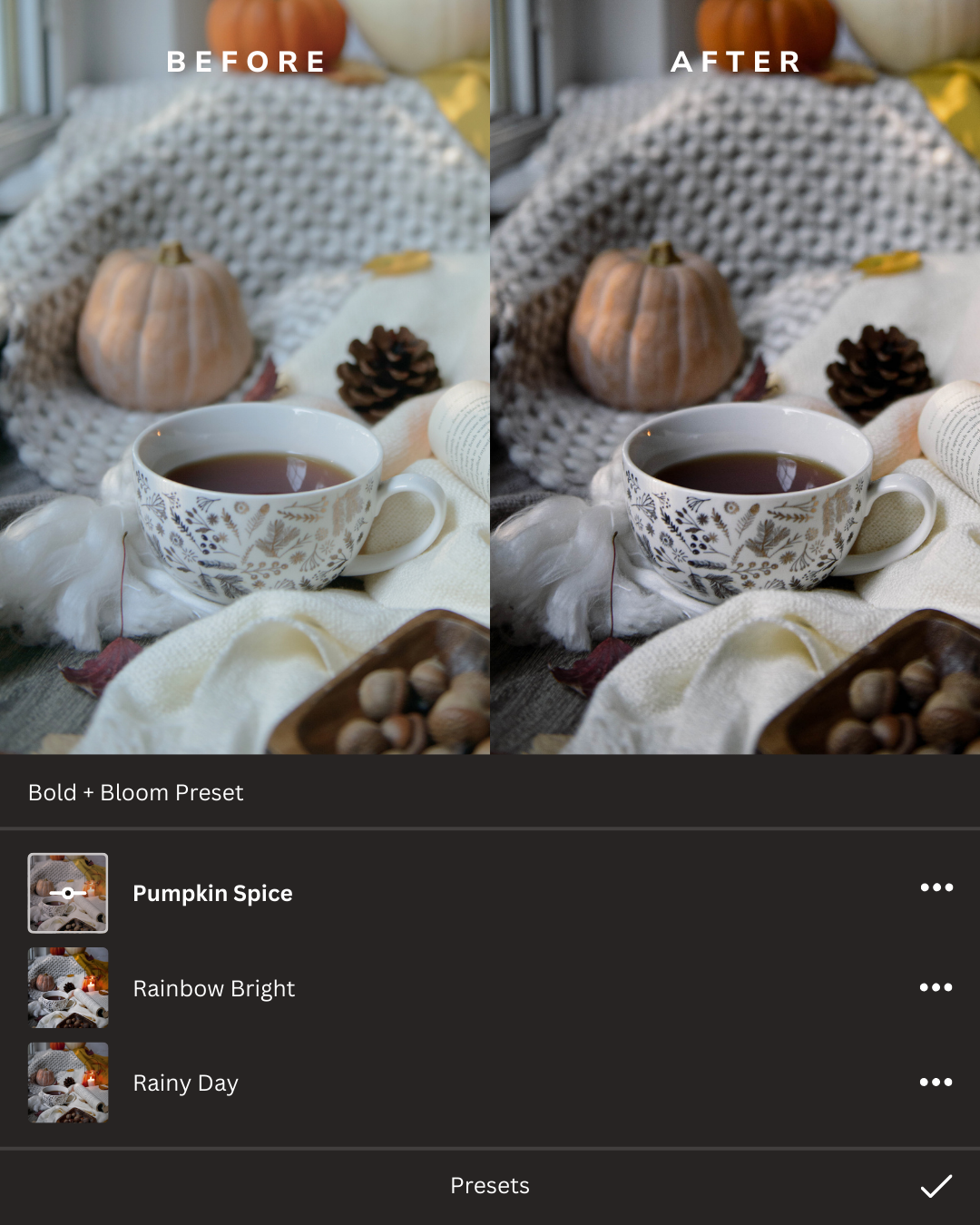 Cozy Autumn Lightroom Presets Collection