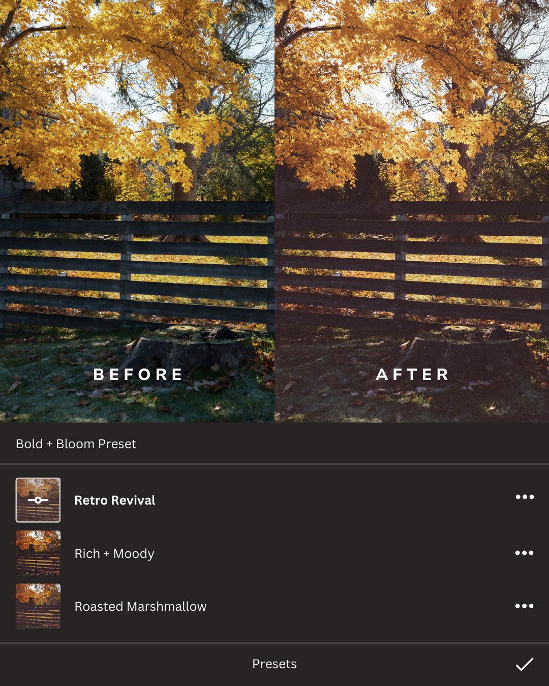 Folk Lightroom Presets Collection