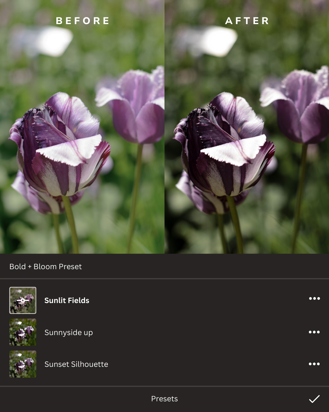 Hello Spring Lightroom Presets Collection