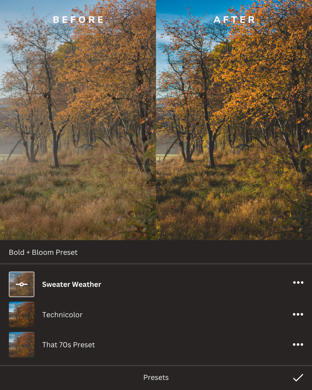 Cozy Autumn Lightroom Presets Collection