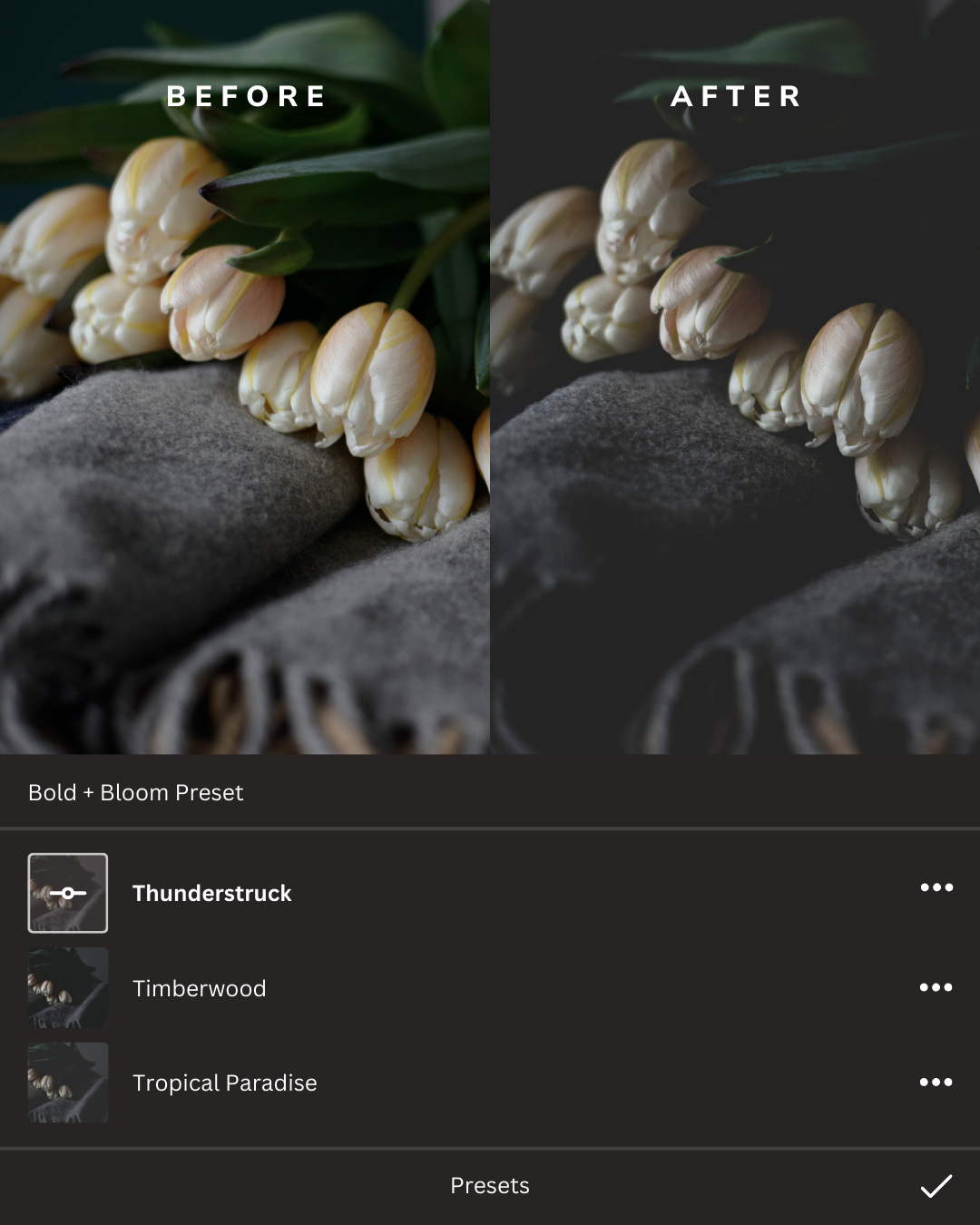 Dark + Moody Lightroom Presets Collection