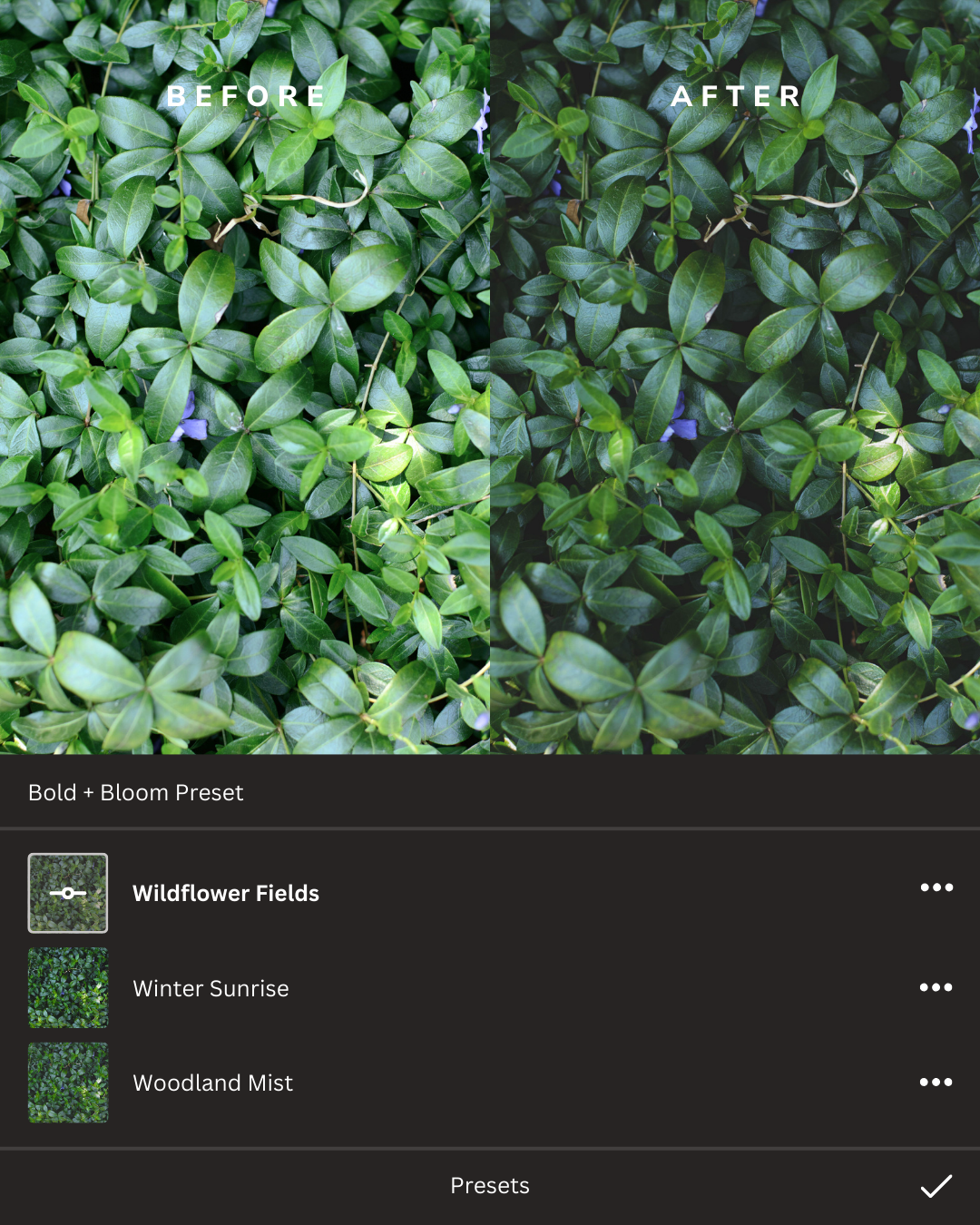 Botanicals Lightroom Presets Collection