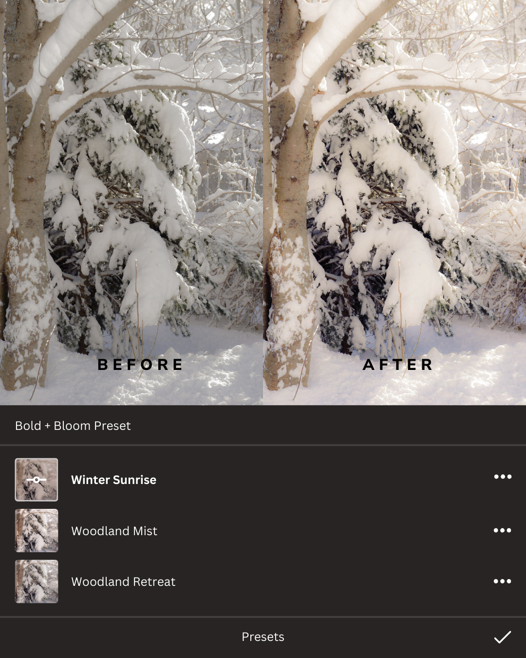Winter Wonderland Lightroom Presets Collection