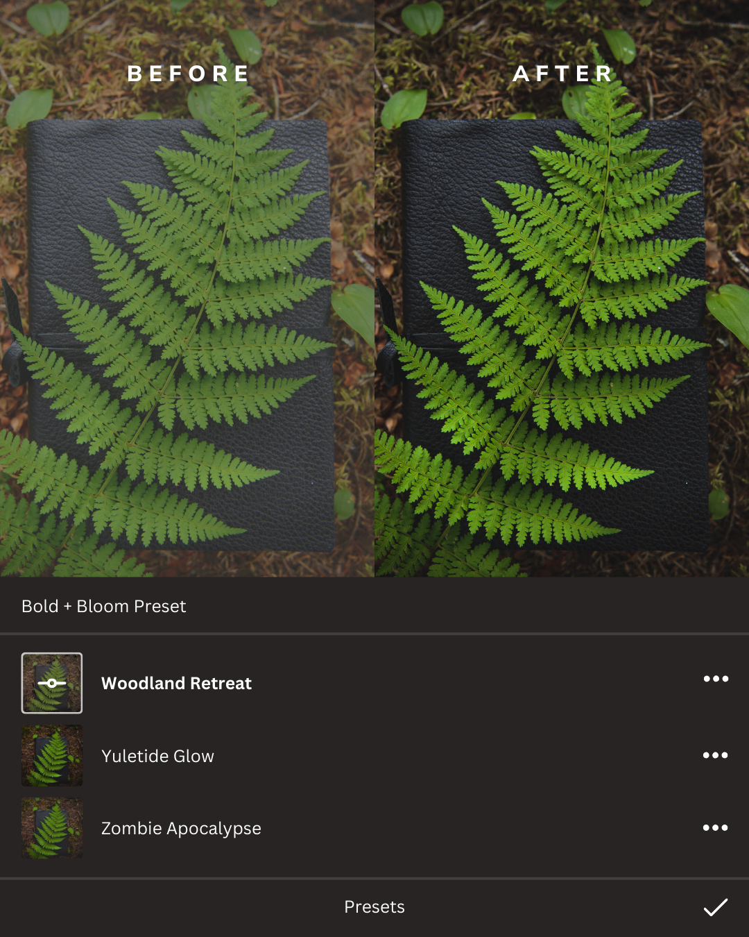 Rustic Woodlands Lightroom Presets Collection