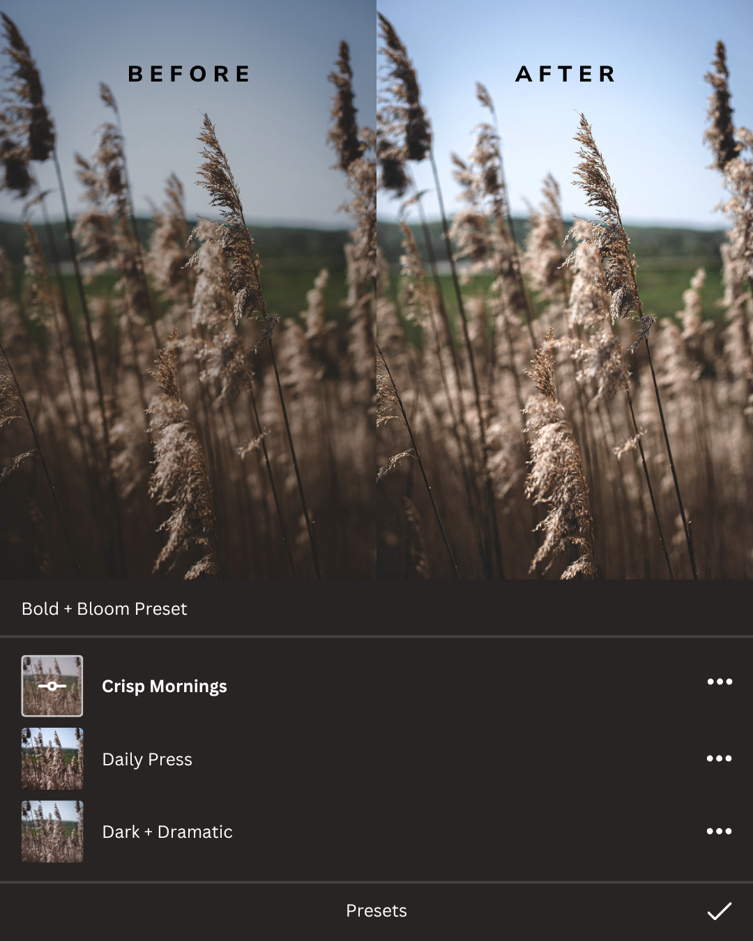 Earthy Lightroom Presets Collection