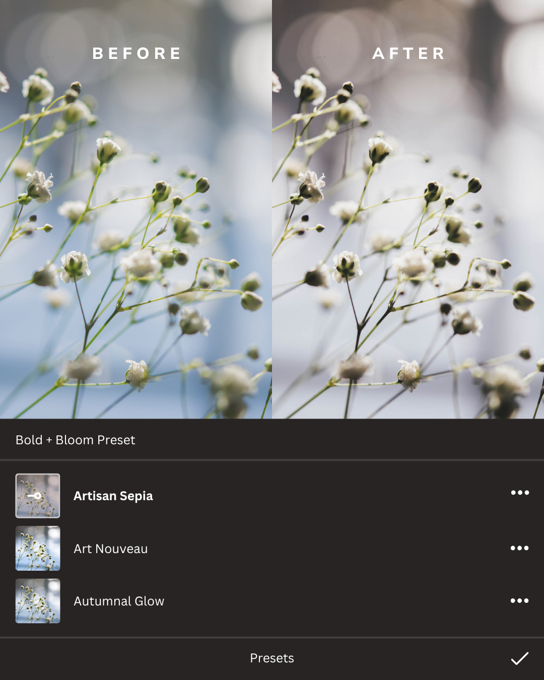 Art + Artisan Lightroom Presets Collection