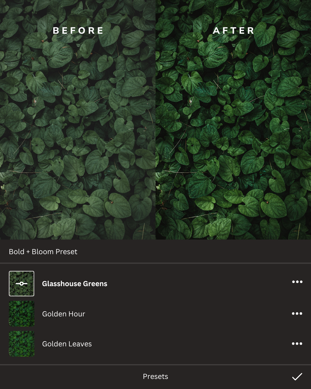 Earthy Lightroom Presets Collection