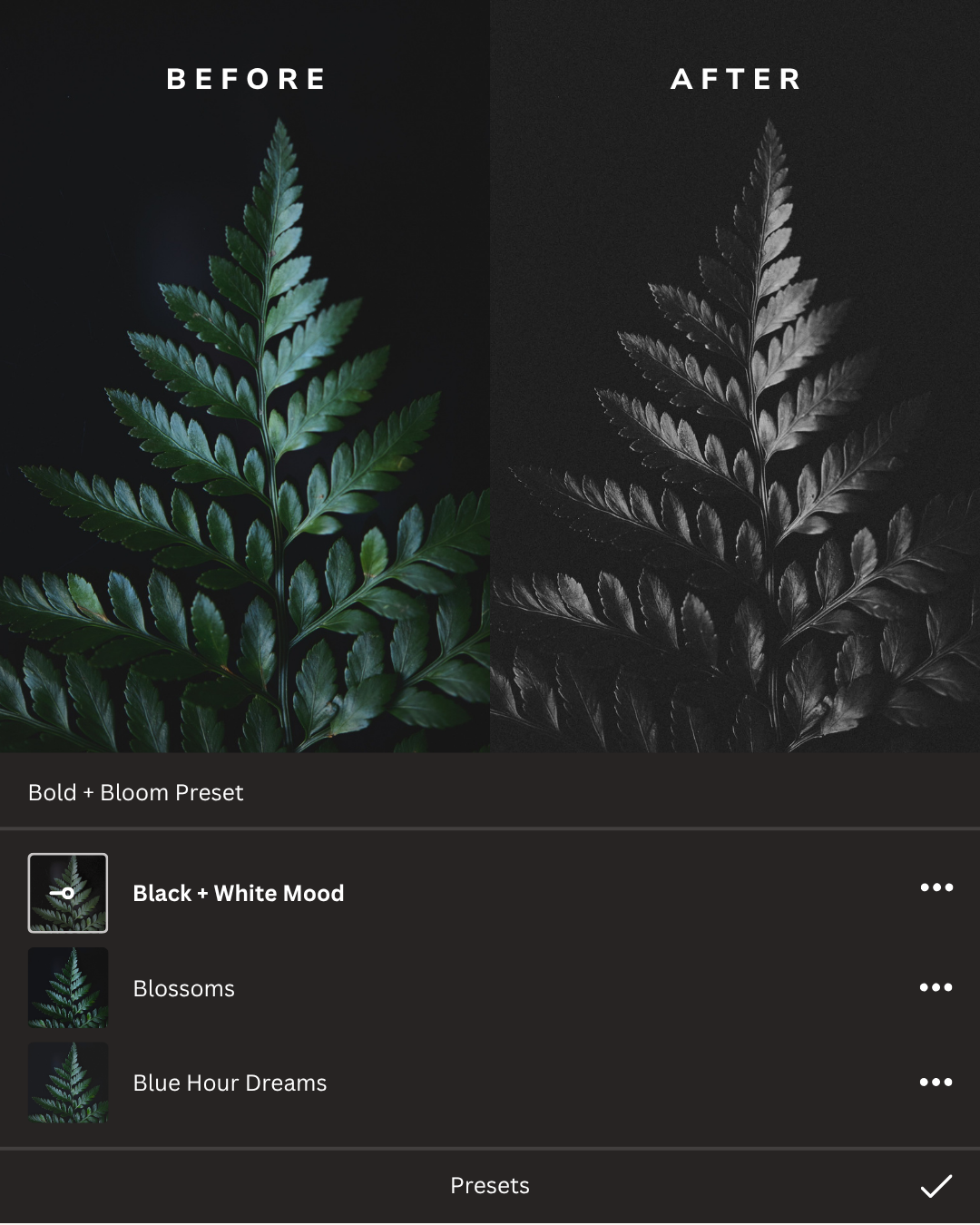 Art + Artisan Lightroom Presets Collection