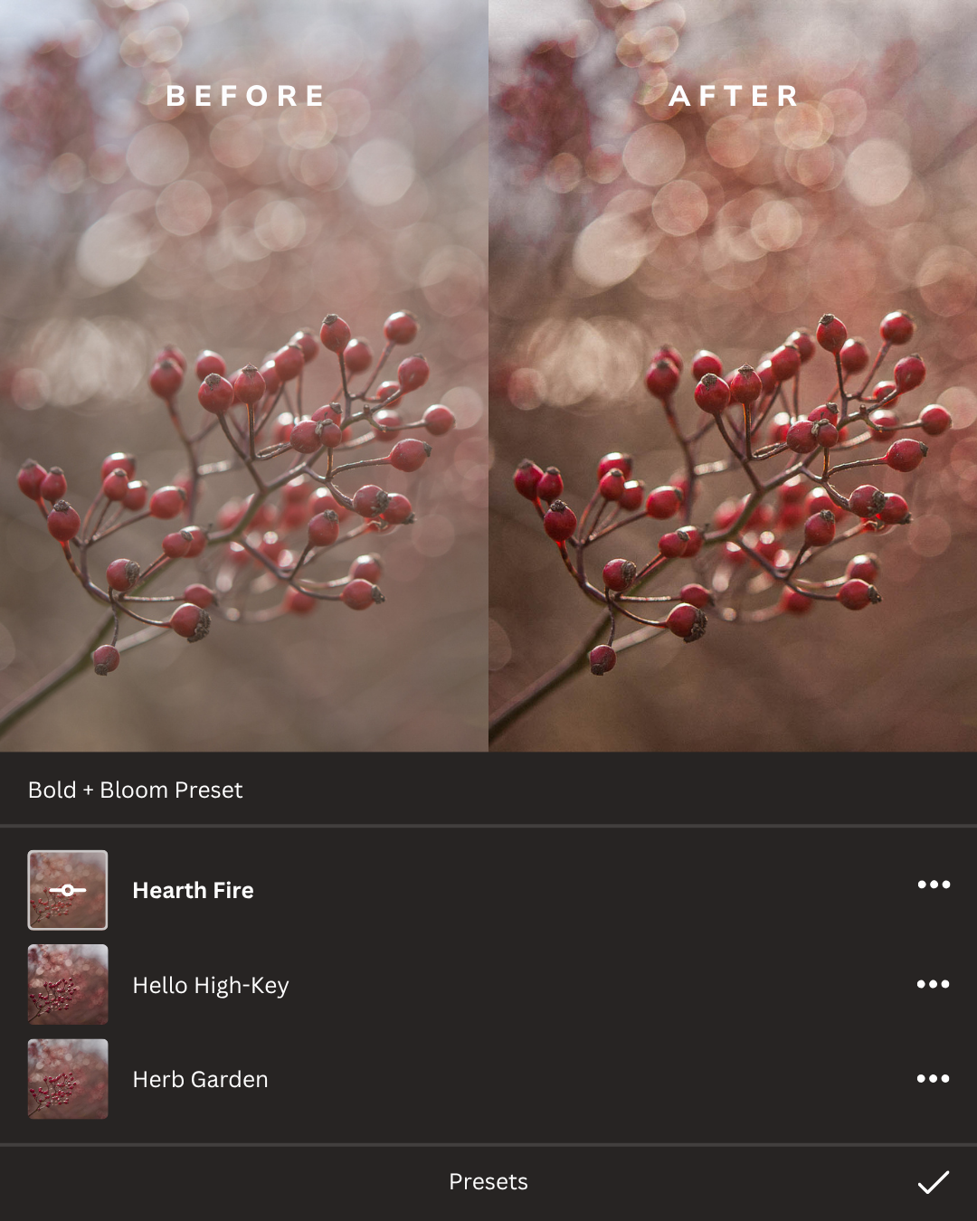 Winter Wonderland Lightroom Presets Collection