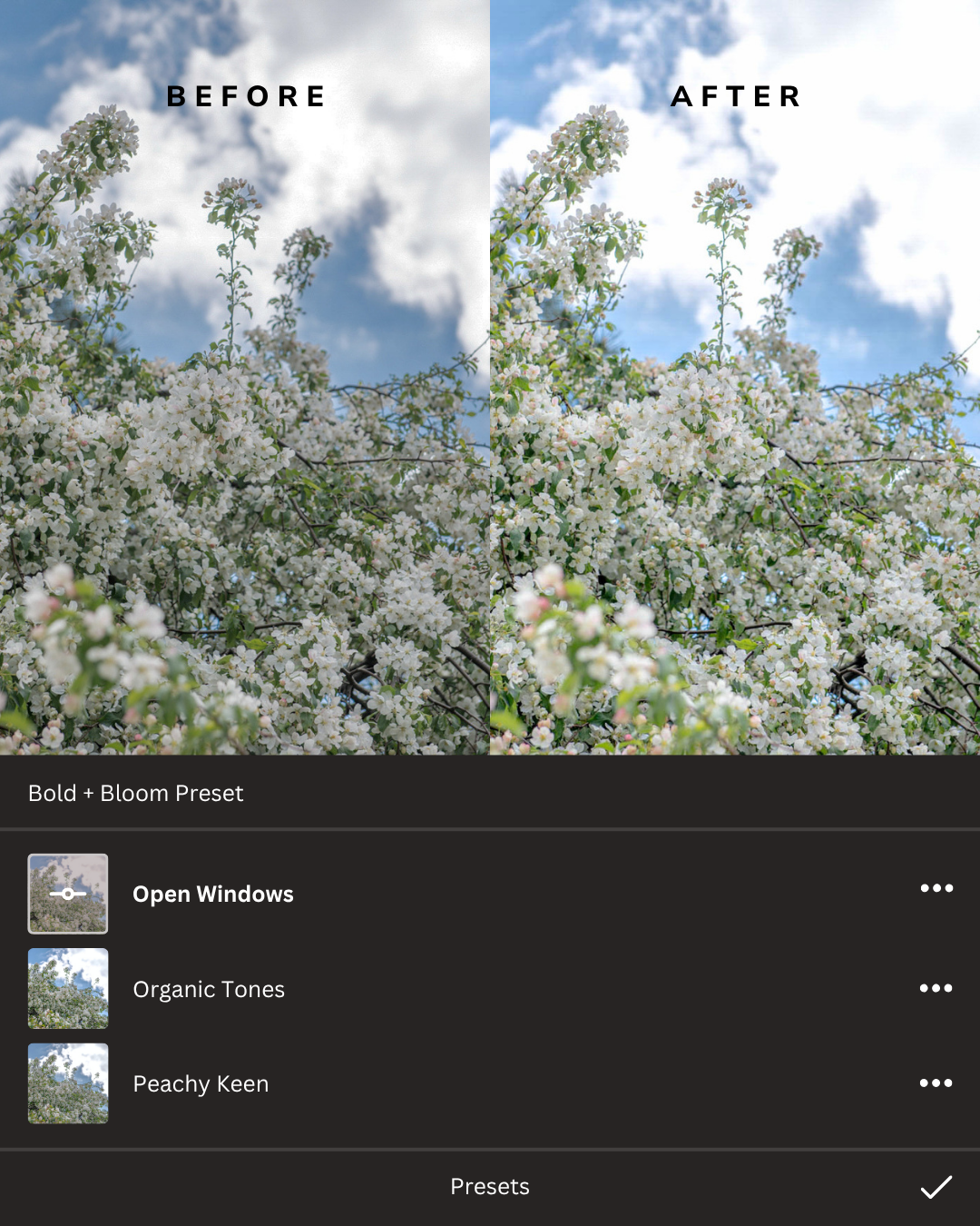 Hello Spring Lightroom Presets Collection