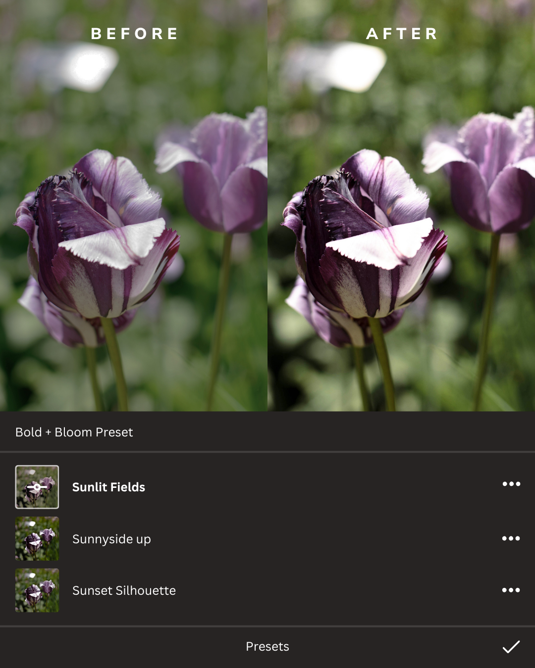 Hello Spring Lightroom Presets Collection
