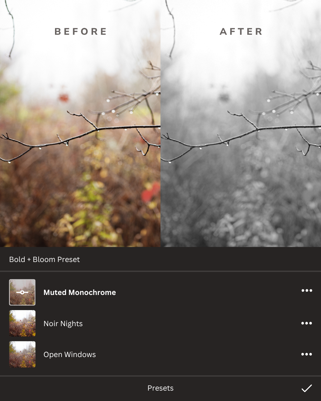 Black + White Lightroom Presets Collection