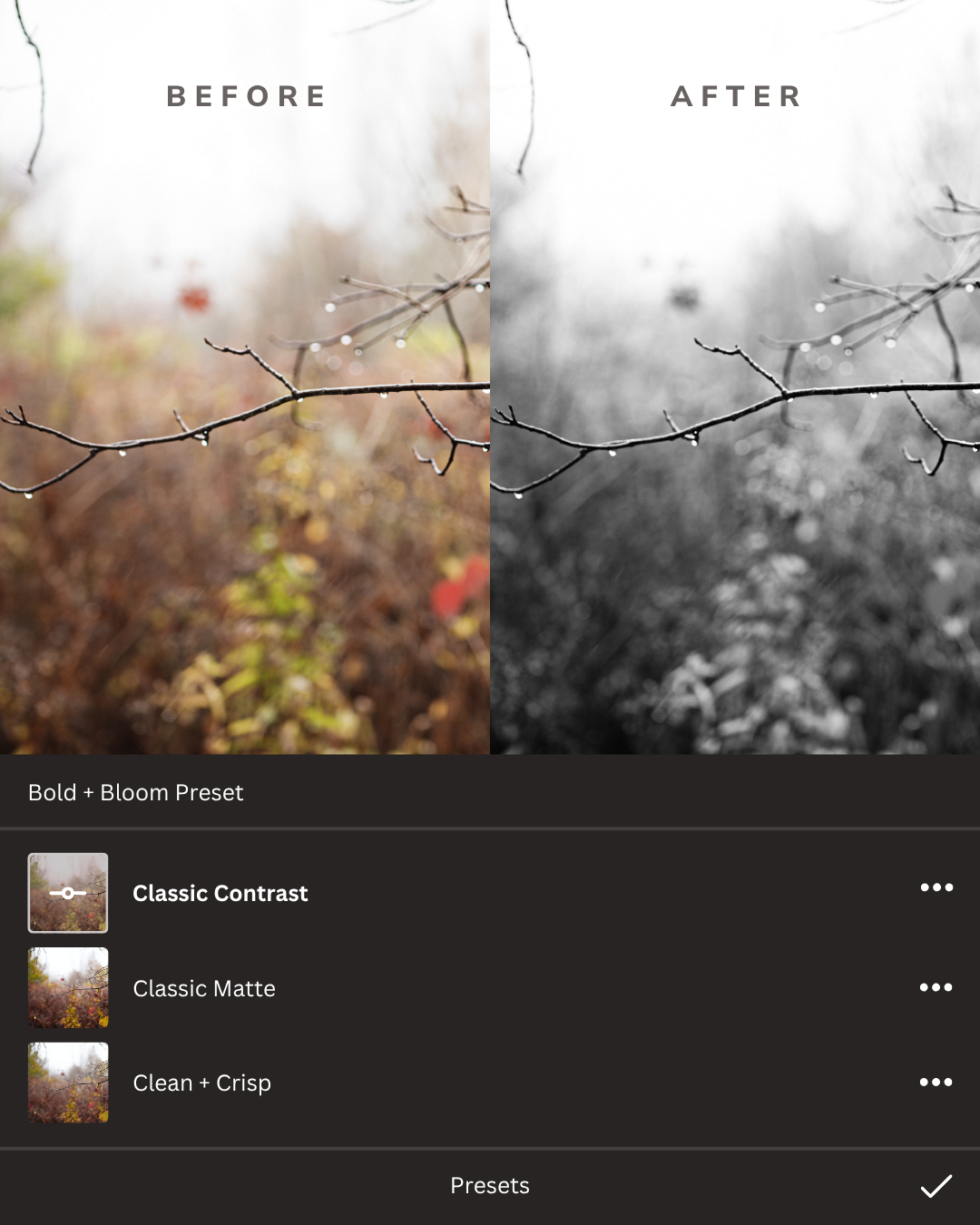 Black + White Lightroom Presets Collection