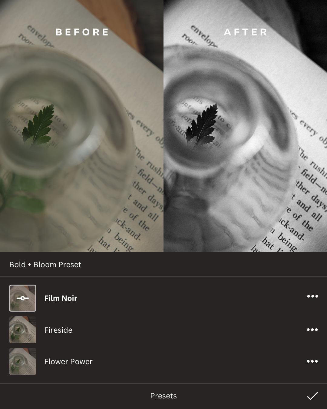 Black + White Lightroom Presets Collection