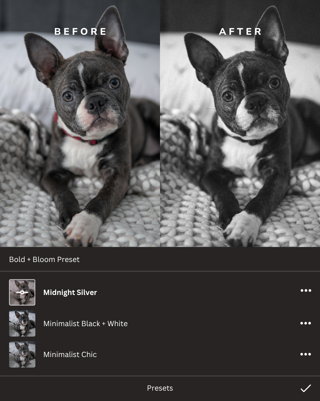 Black + White Lightroom Presets Collection