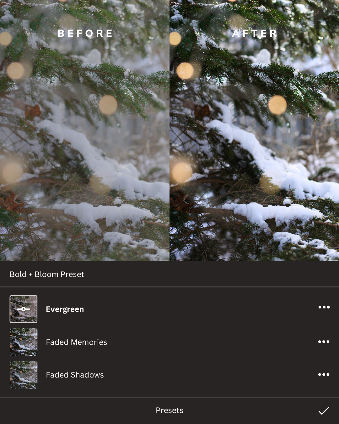 Winter Wonderland Lightroom Presets Collection