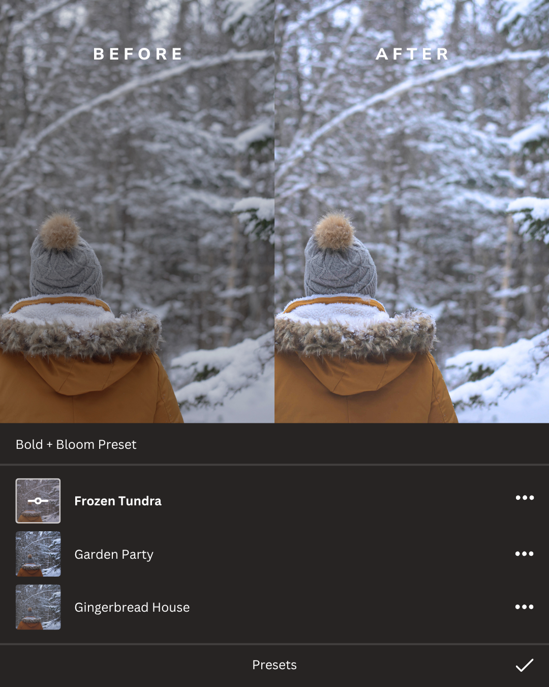 Winter Wonderland Lightroom Presets Collection