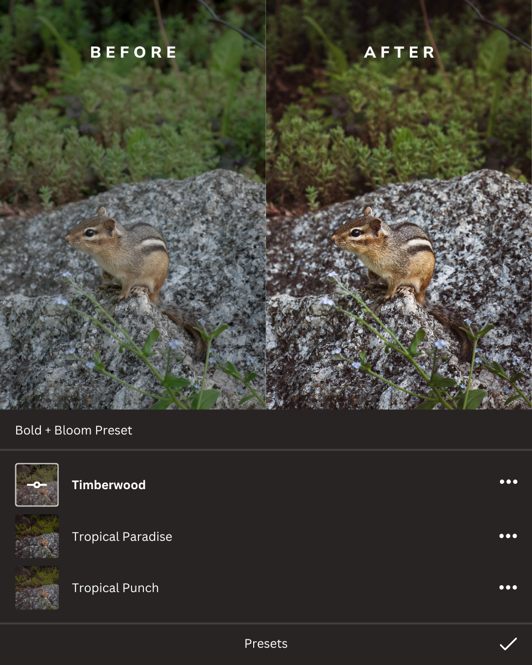 Rustic Woodlands Lightroom Presets Collection