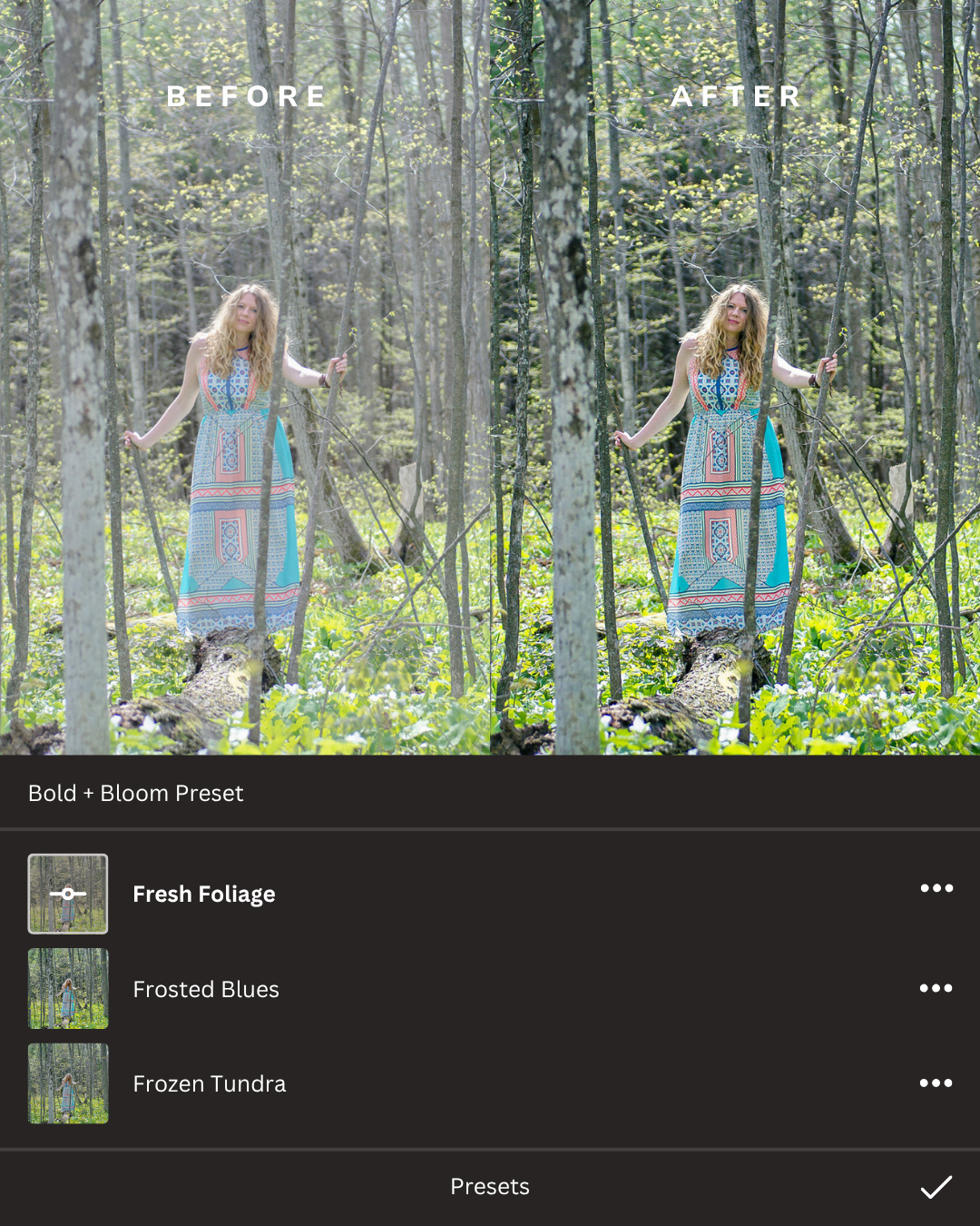 Rustic Woodlands Lightroom Presets Collection