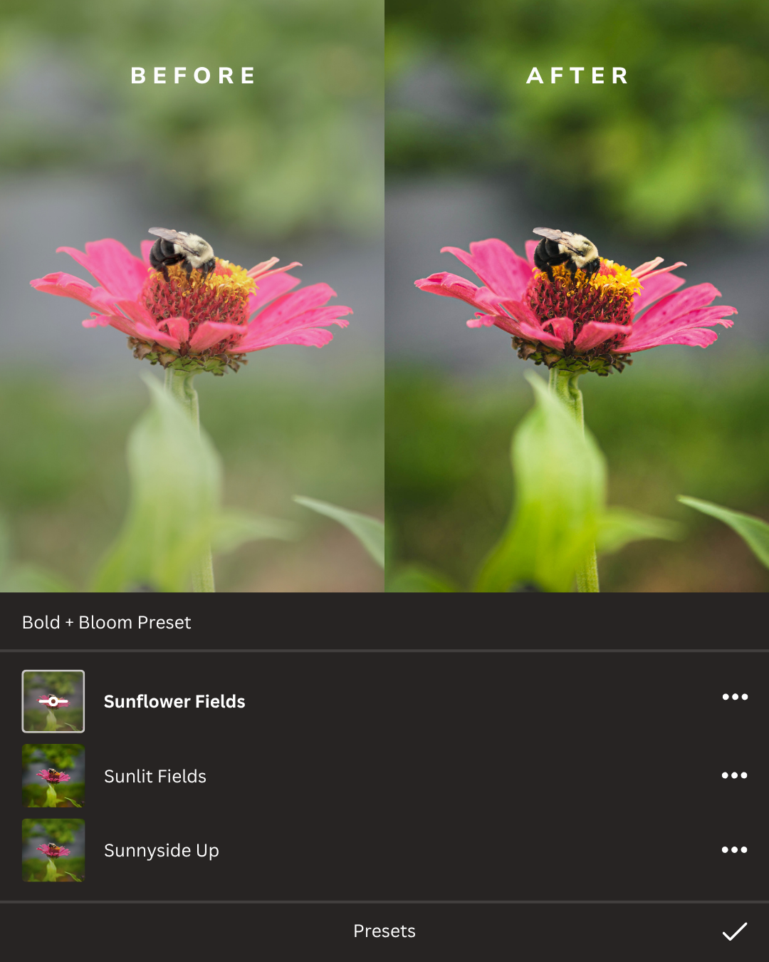 Sun-Kissed Summer Lightroom Presets Collection