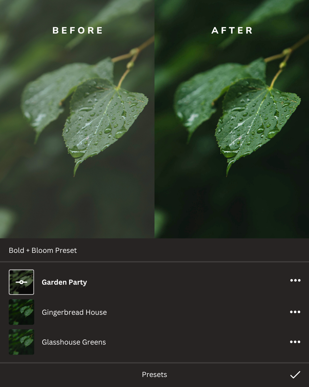 Botanicals Lightroom Presets Collection