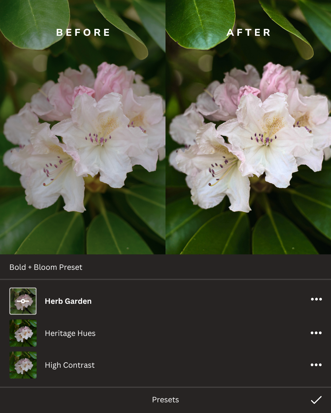 Botanicals Lightroom Presets Collection