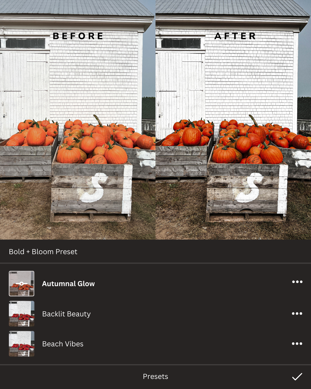 Cozy Autumn Lightroom Presets Collection