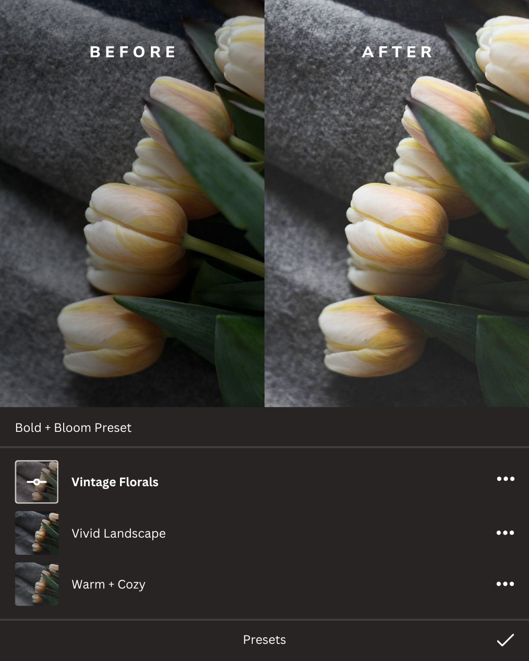 Botanicals Lightroom Presets Collection