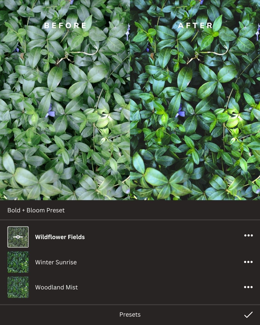 Botanicals Lightroom Presets Collection
