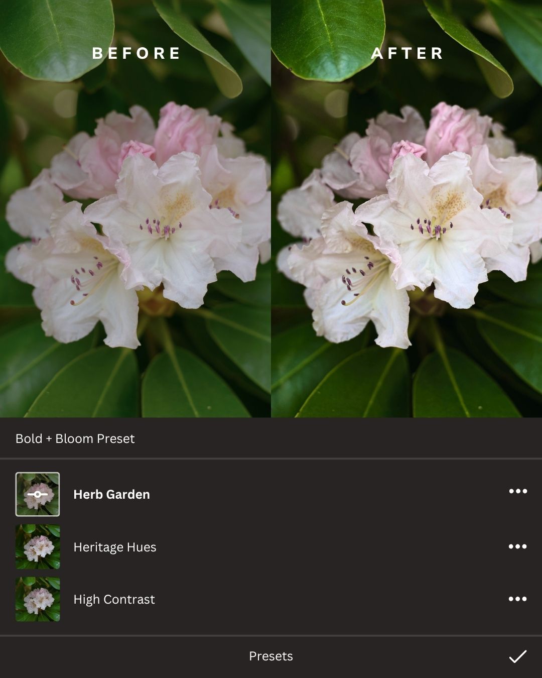 Botanicals Lightroom Presets Collection
