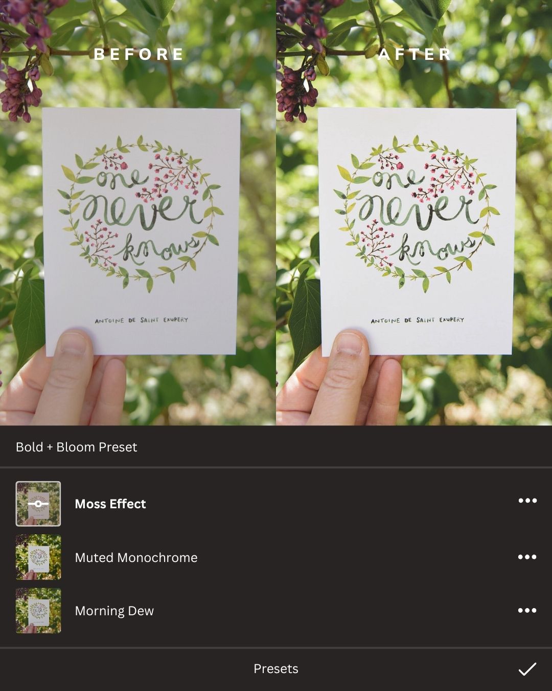 Botanicals Lightroom Presets Collection