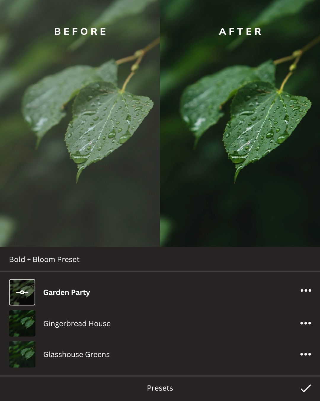 Botanicals Lightroom Presets Collection