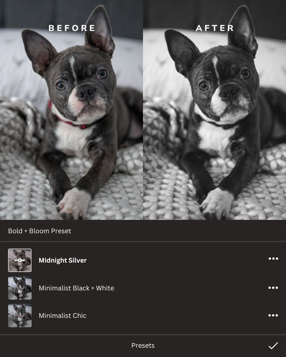 Black + White Lightroom Presets Collection