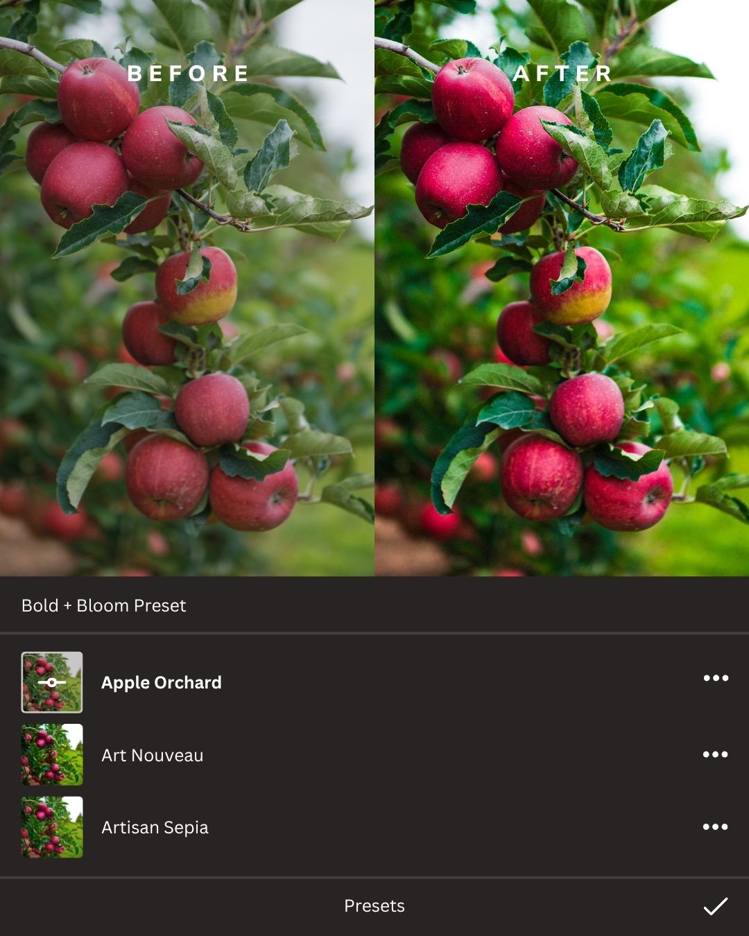 Cozy Autumn Lightroom Presets Collection